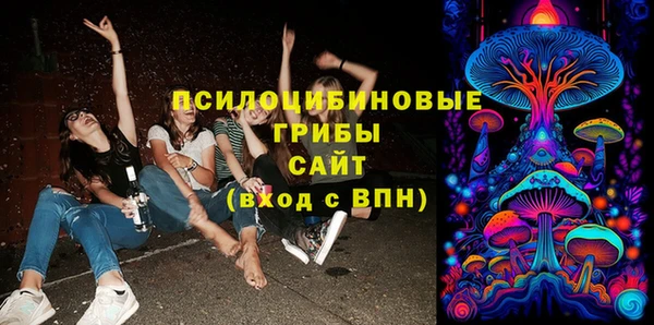 мяу мяу мука Алзамай